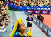 关于复仇之战！樊振东率领日本队成功终止连败的信息