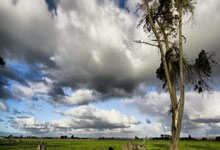 曼联中场布鲁诺打入制胜球，领球队赢得比赛